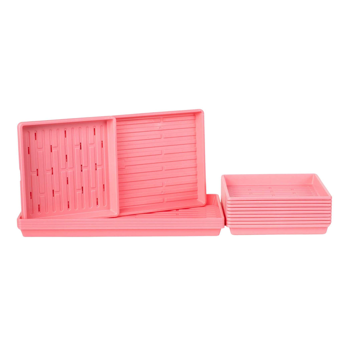 1010 Microgreens Kit