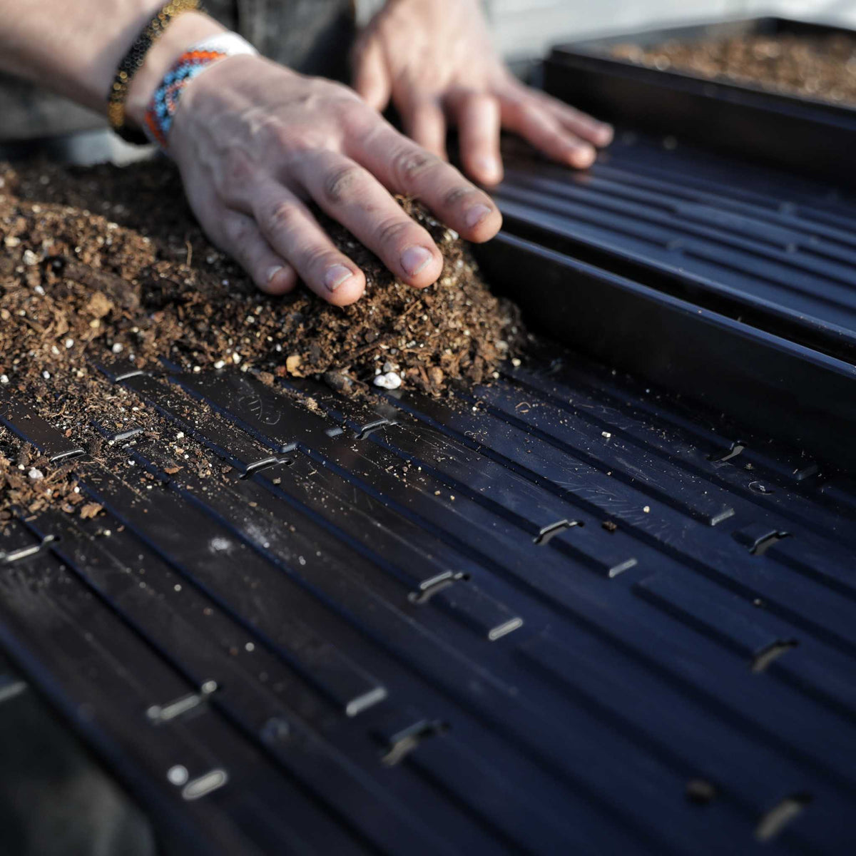 1020 Microgreen Trays