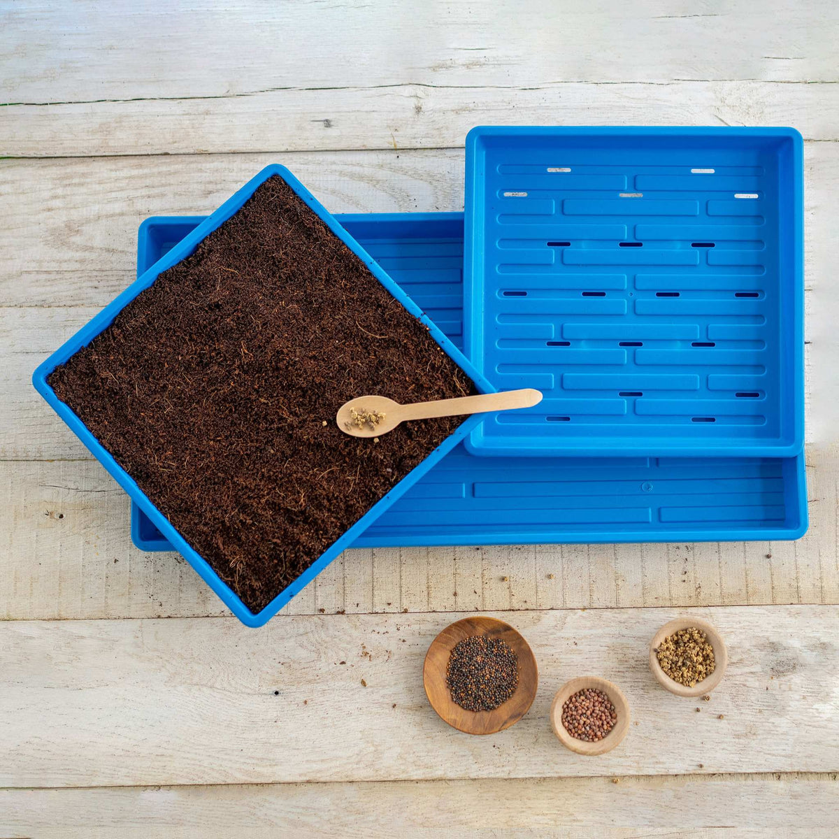 1010 Microgreens Kit