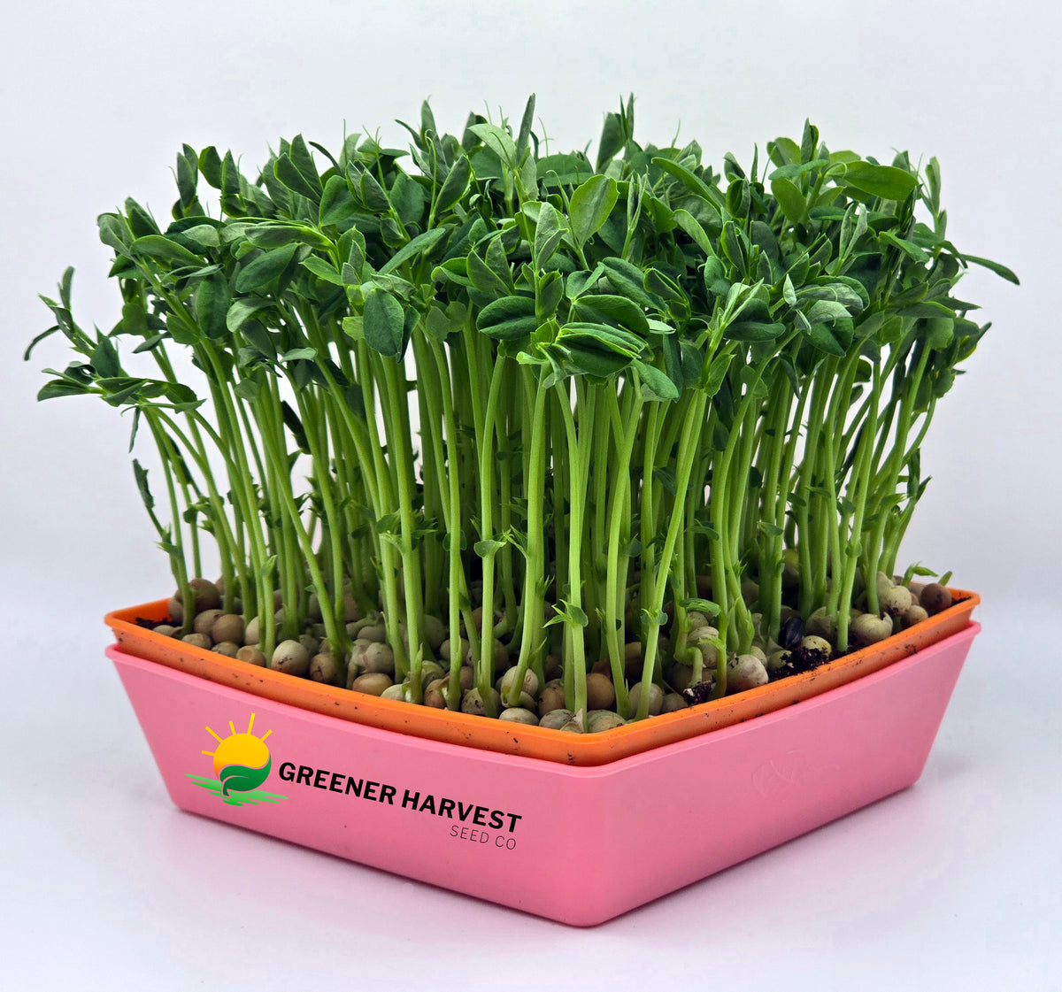 Mini Harvest Kit