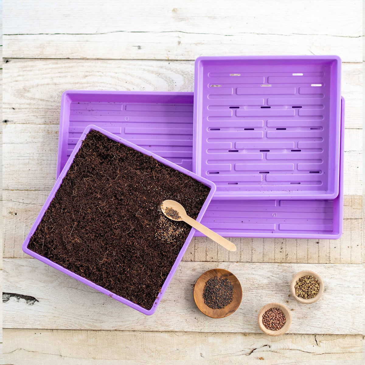 1010 Microgreens Kit
