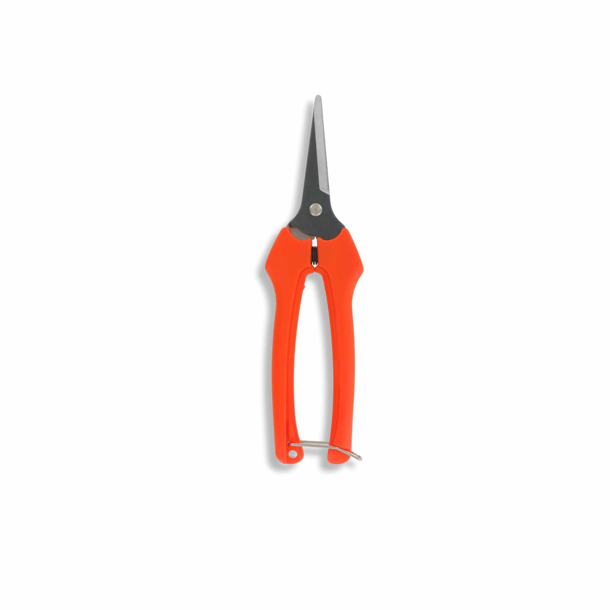 Harvesting Pruning Shears