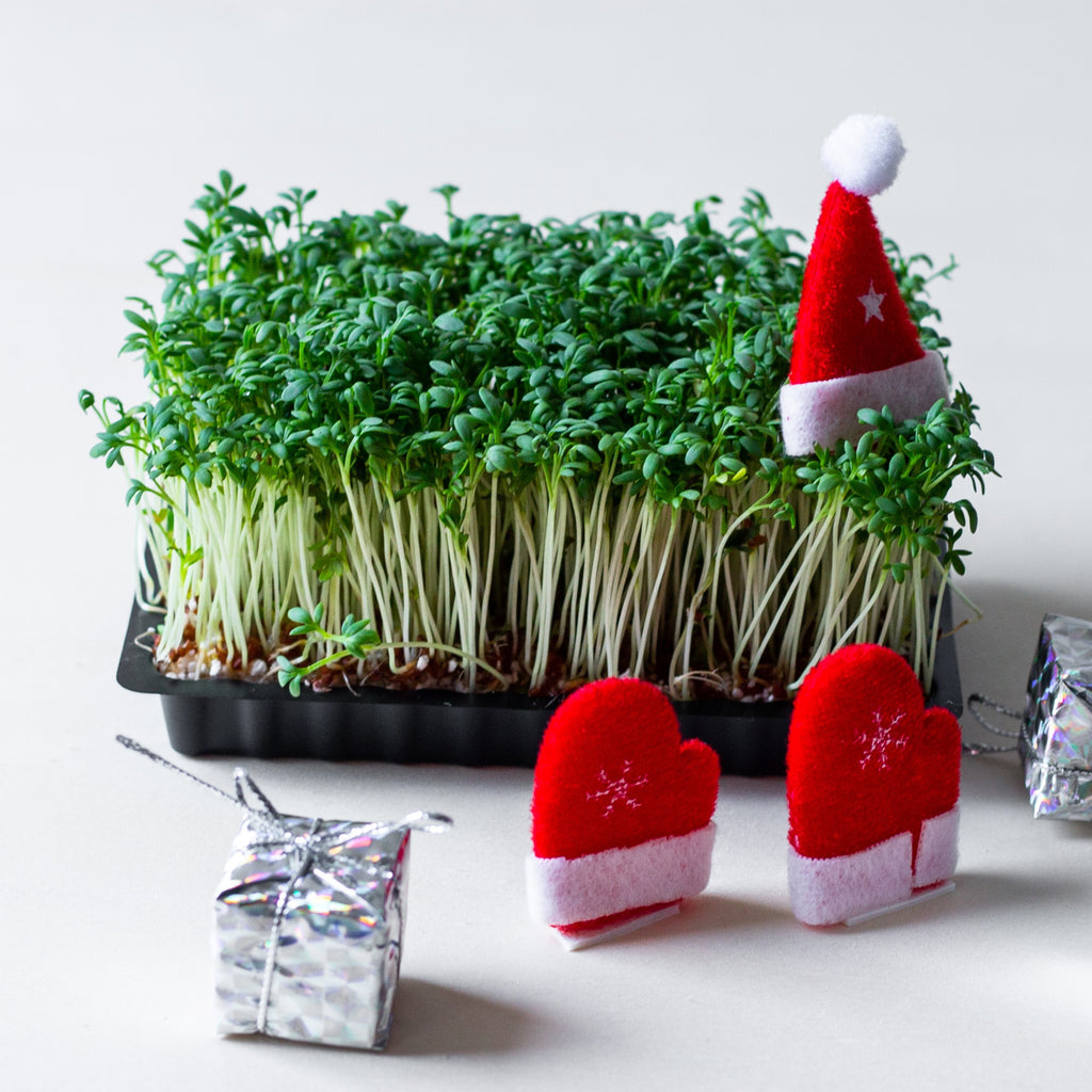 Positioning Your Microgreens for a Jolly Christmas Sales Season: 3 Tips for Rising Commercial Growers