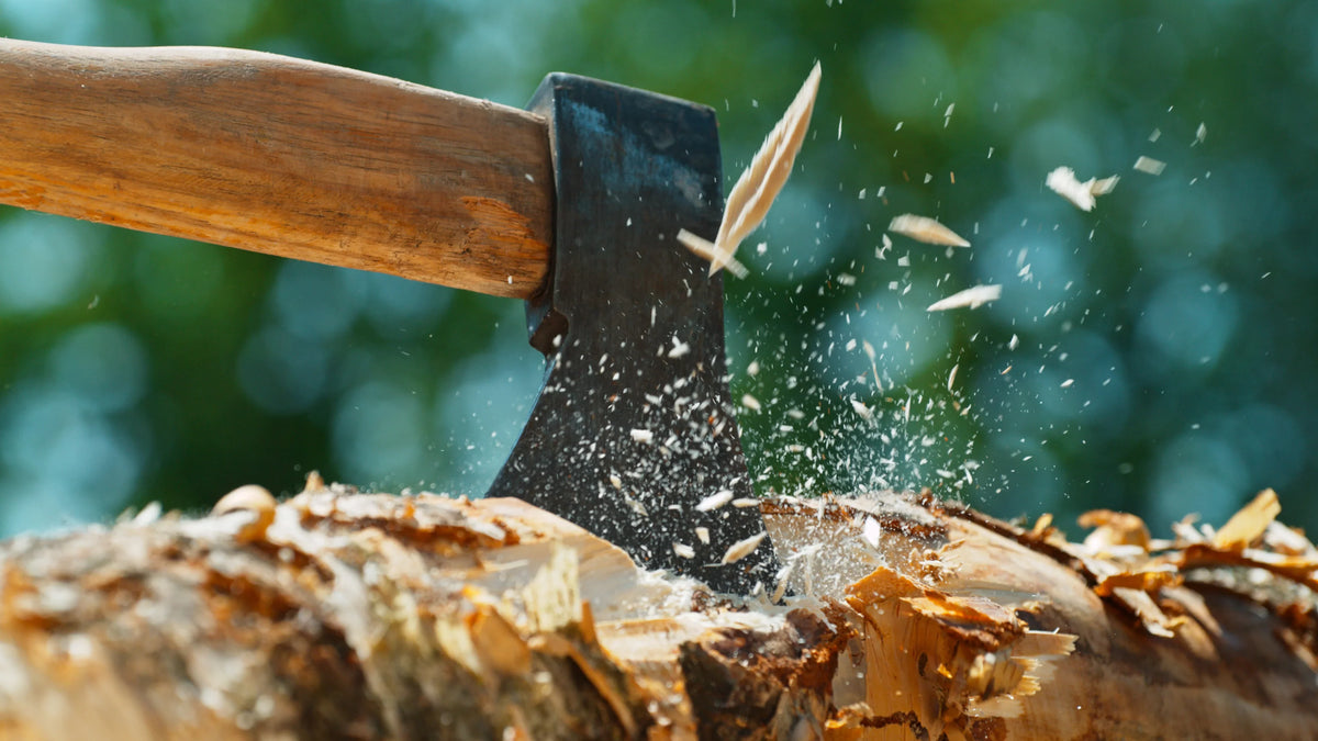Swinging Into Success: Cultivating Abundance and Achieving Goals in 2026