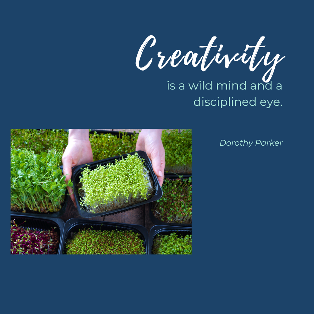 Unleash Creativity: Transformative Packaging Ideas for Your Microgreens