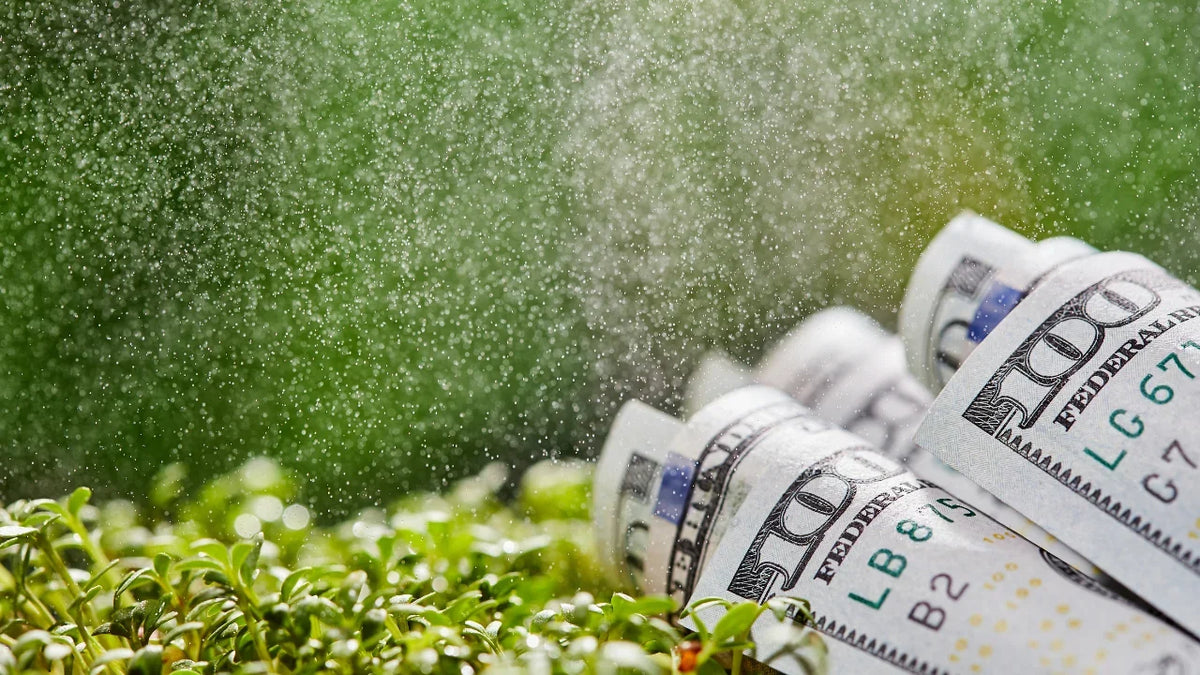 Cultivate Success: The Art of Analyzing Your Microgreen Business
