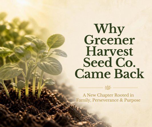 Why Greener Harvest Seed Co. Came Back