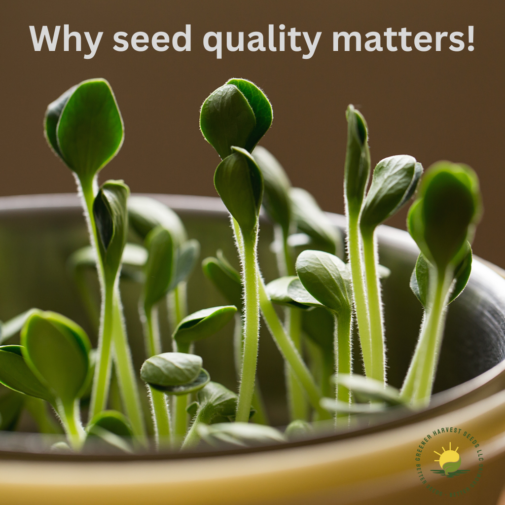 Why Seed Quality Matters!