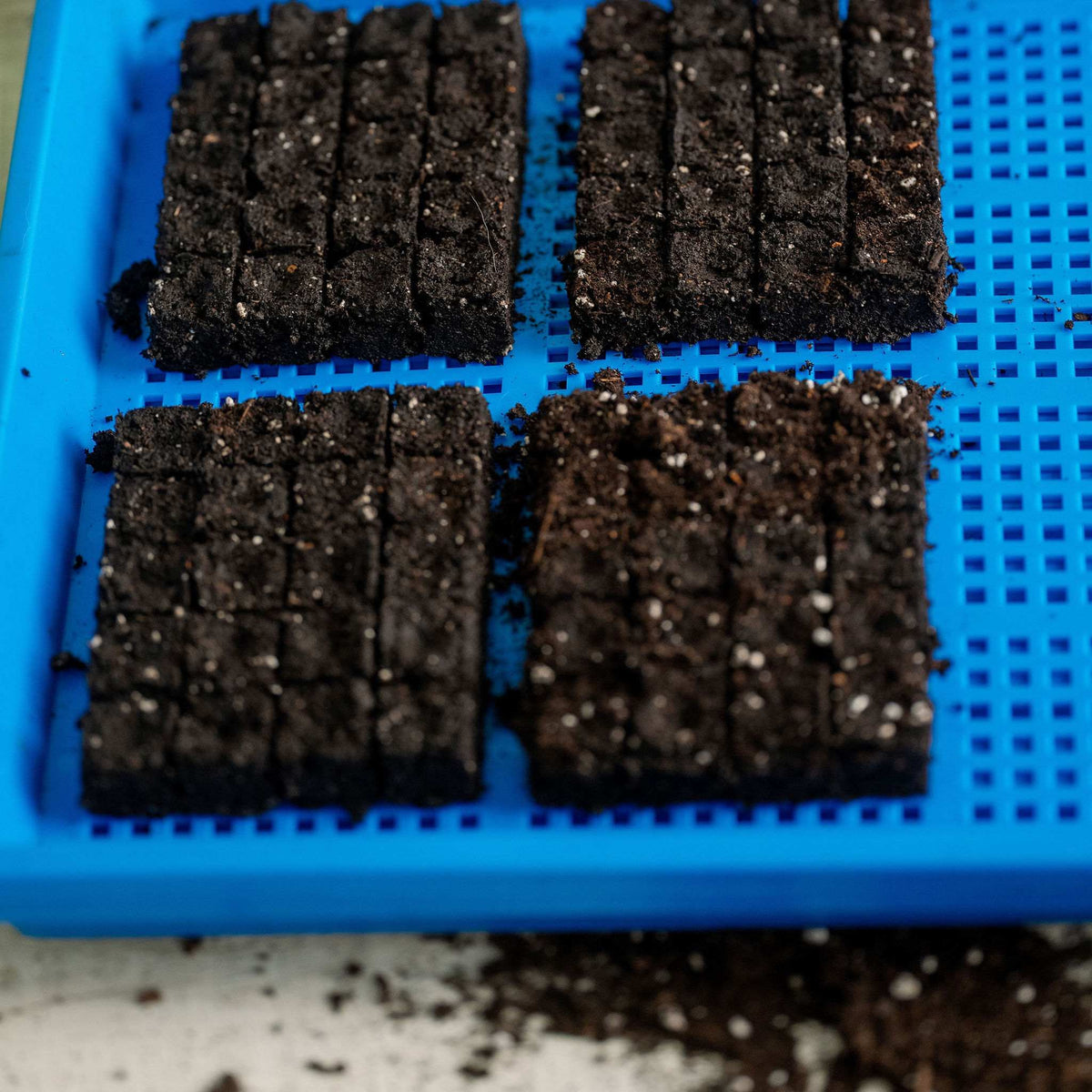 1020 Mesh Trays Shallow Extra Strength Colors -  1