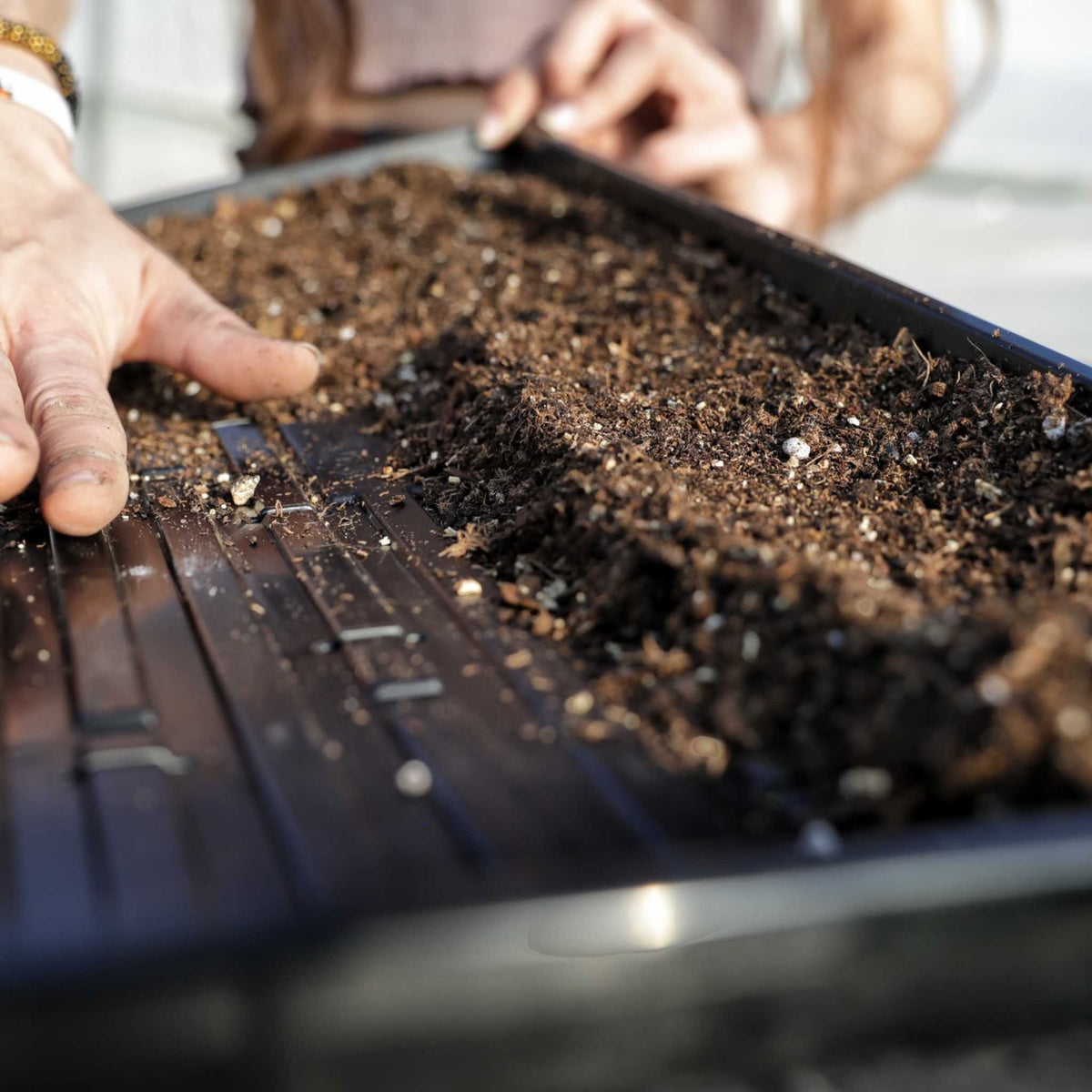 1020 Microgreen Trays