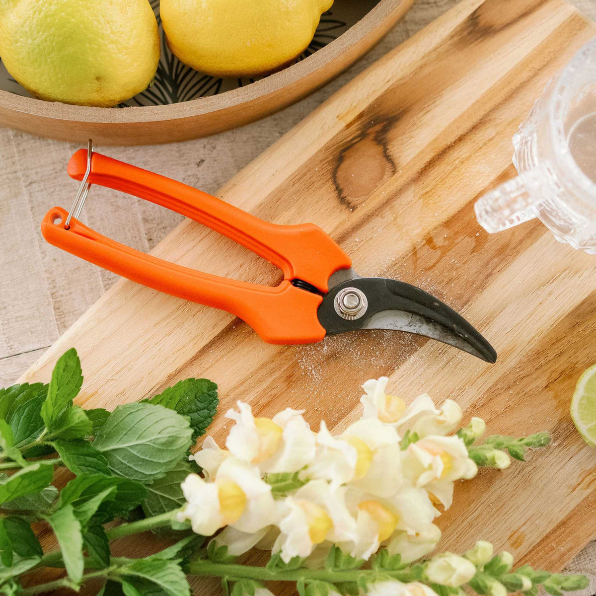 Harvesting Pruning Shears