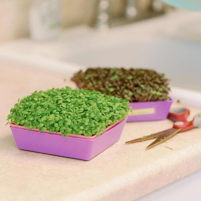 5X5 Extra Strength Shallow Microgreen Trays