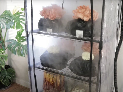 RMS ShroomRoom Automated Mushroom Tent T3 Kit